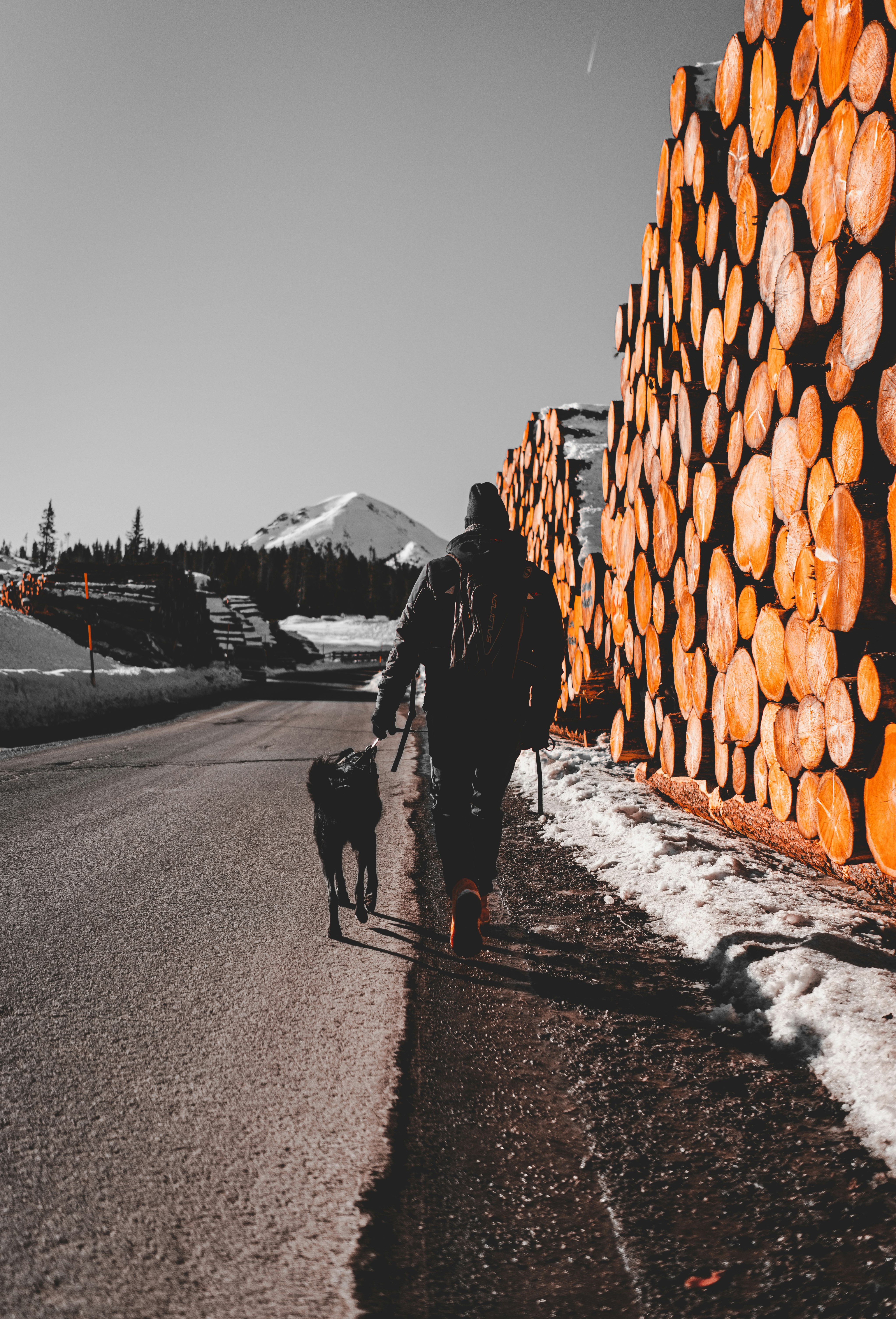 man holding dog